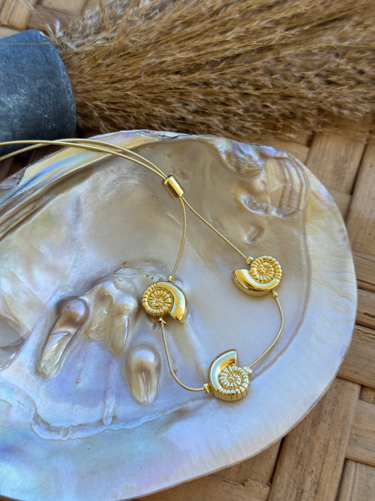 Turbo shell bracelet