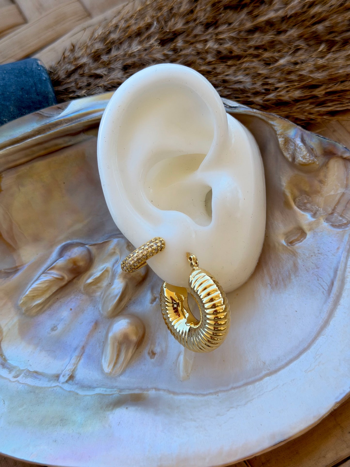 Snail earrings