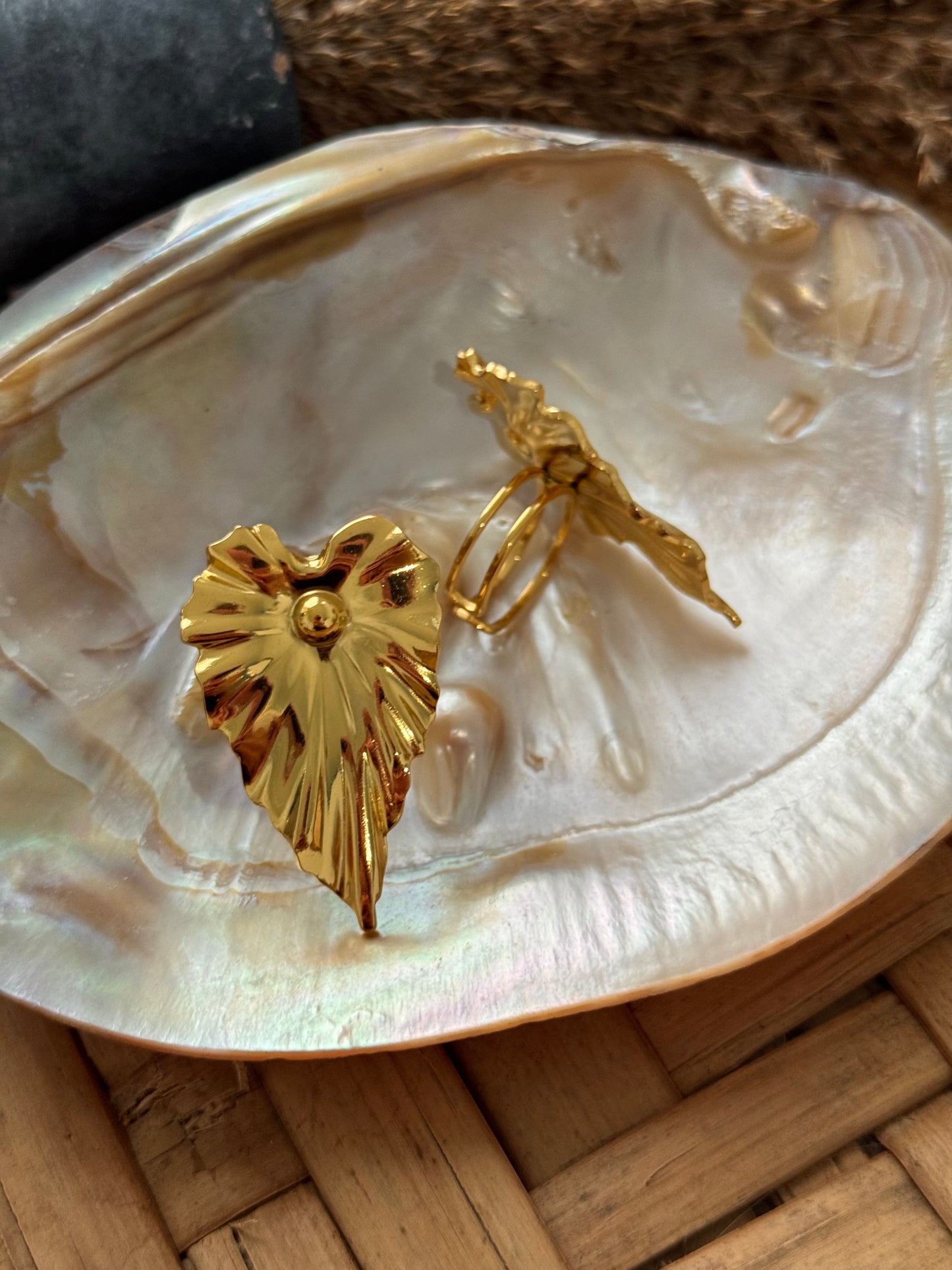 Monstera ring