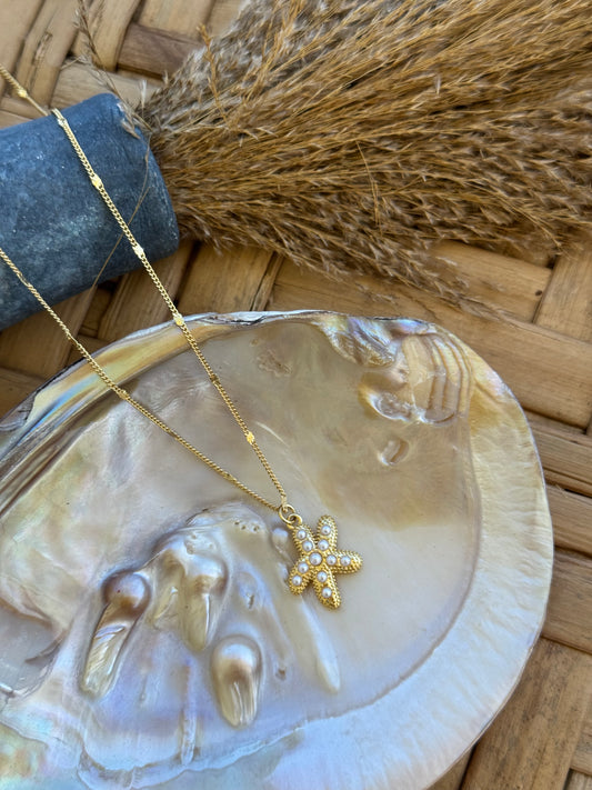 Pearly starfish