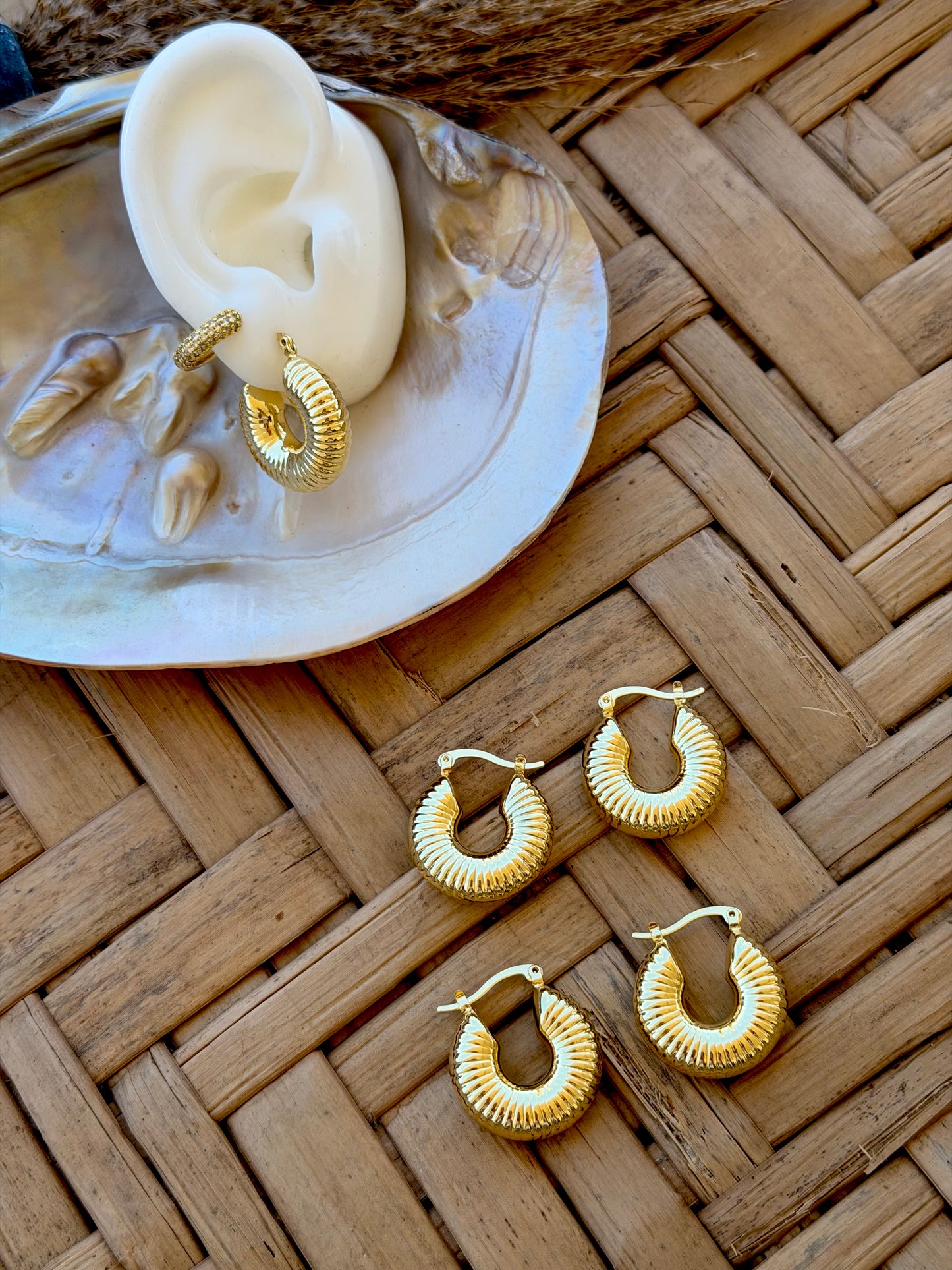Snail earrings