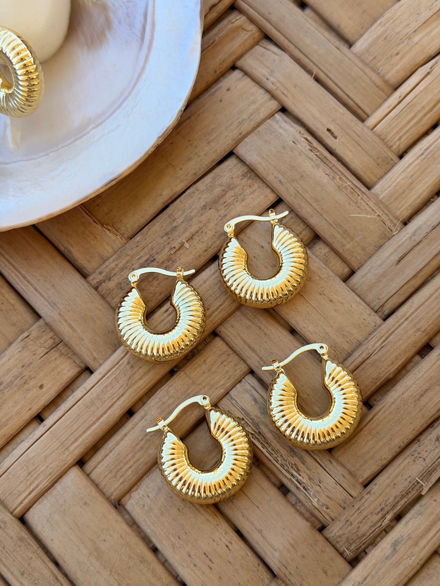 Snail earrings